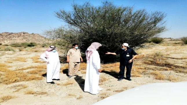 “الزراعة”: المملكة استقبلت 45 سربًا منذ 11 نوفمبر حتى الآن