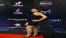 نسرين أمين: لا أخاف من كورونا .. وانفصلت بعد زواجي عن حب